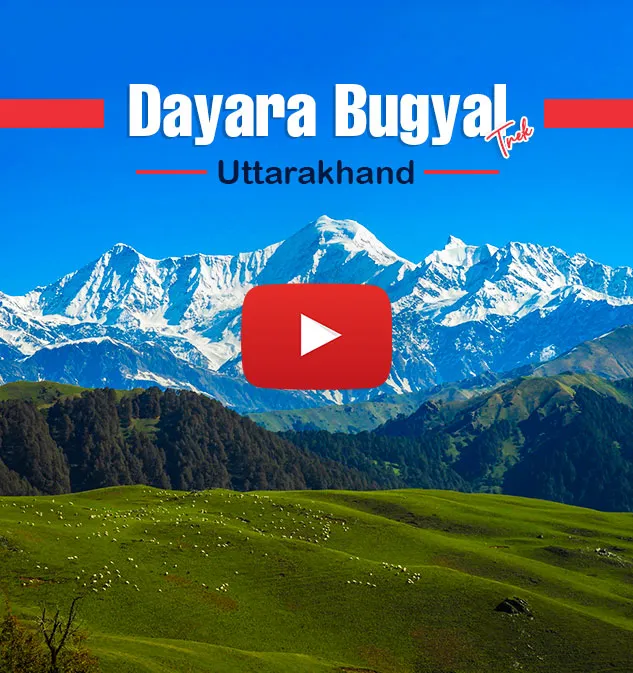 Dayara Bugyal Trek Informative Video
